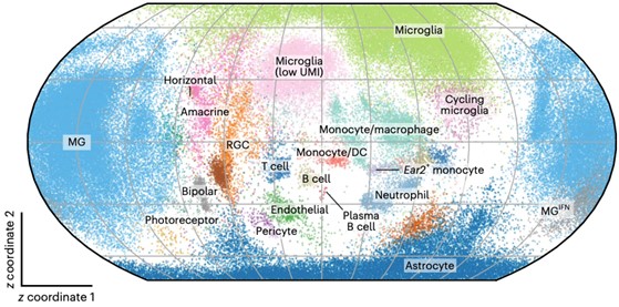 A single-cell atlas of the retina tissue ecosystem following optic nerve crush