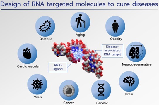 Design of RNA targeted molecules to cure diseases