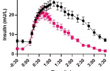 insulin secretion rate chart