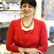 Prof. Francesca Levi-Schaffer