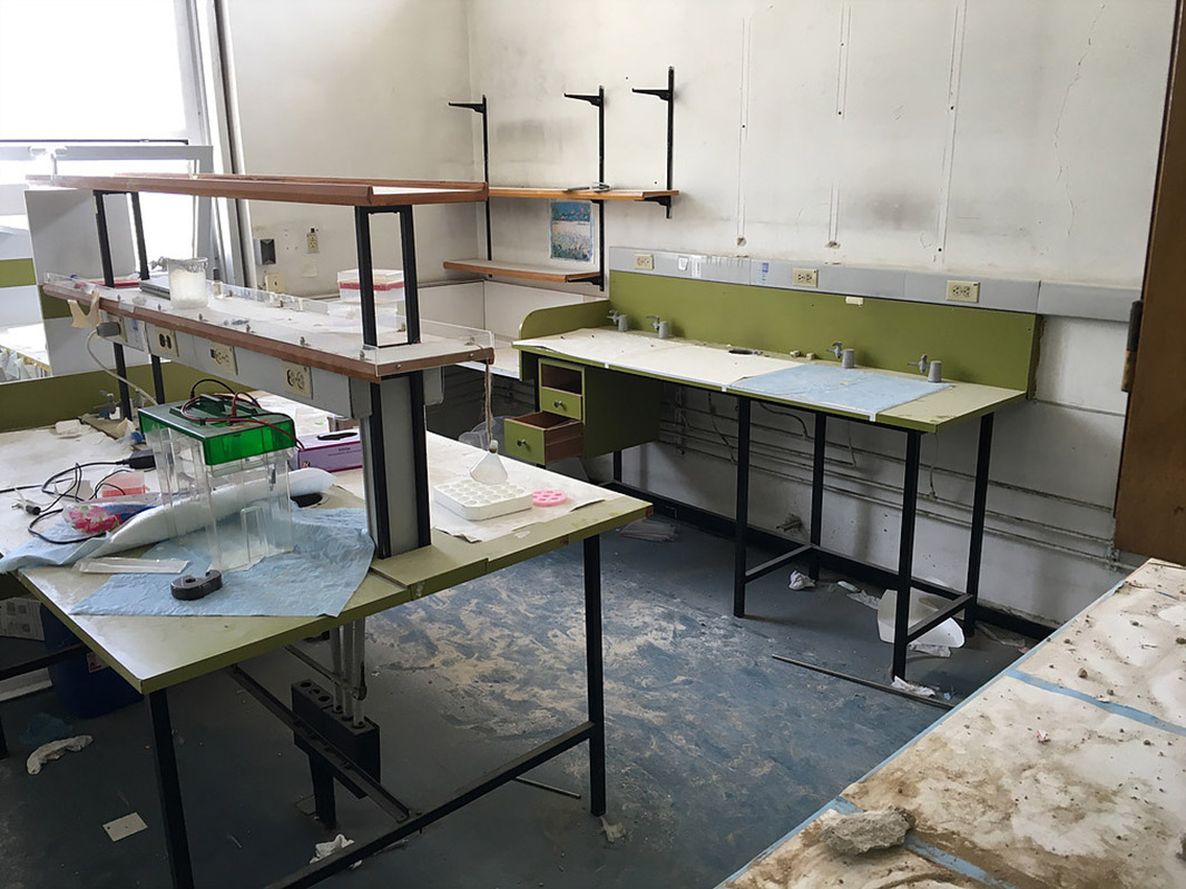 Lab Renovation