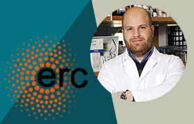 Rami Aqeilan and ERC logo