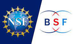 NSF-BSF logo